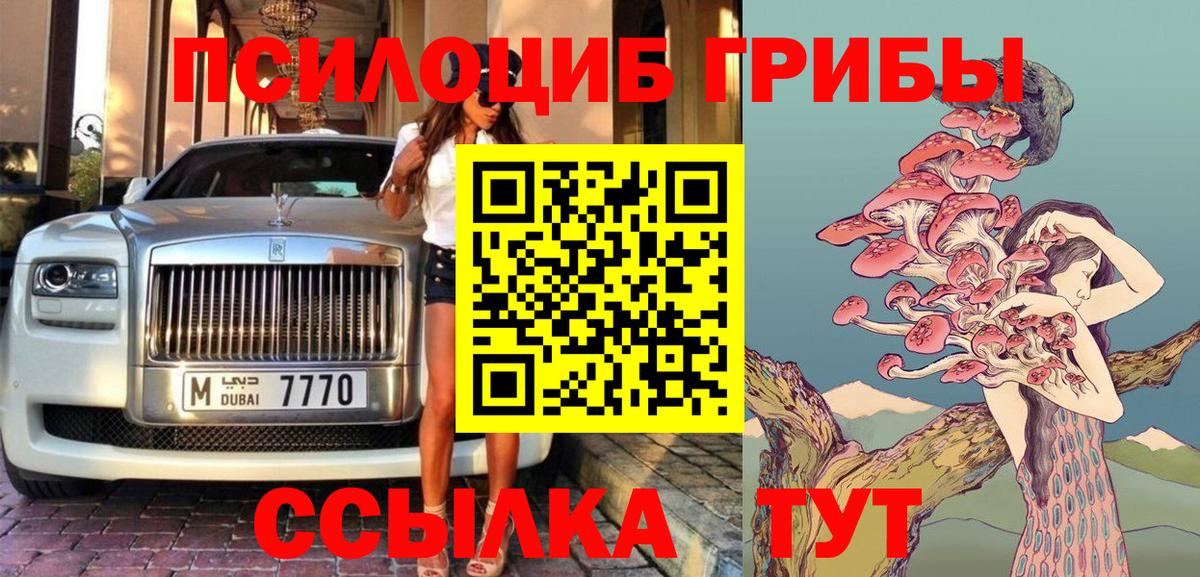 Псилоцибиновые грибы Cubensis Белогорск
