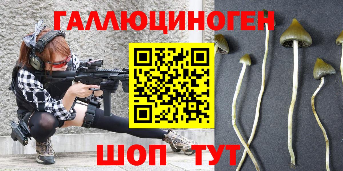 Псилоцибиновые грибы MAGIC MUSHROOMS  Псилоцибиновые грибы Psilocybine cubensis  Вход с VPN  Белогорск 